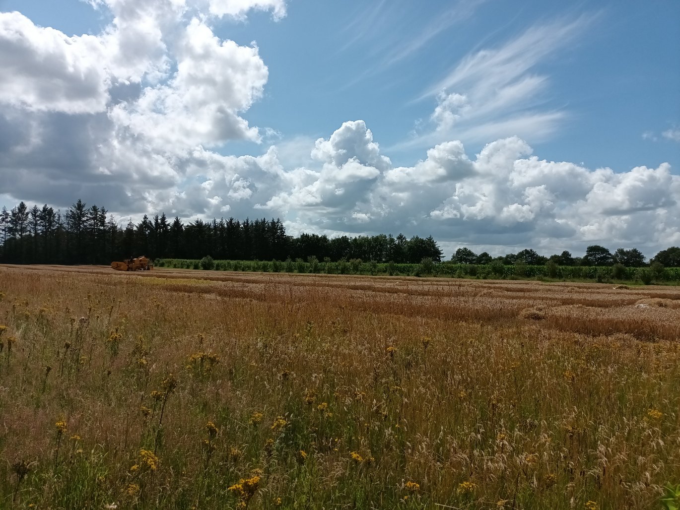 [Translate to English:] 